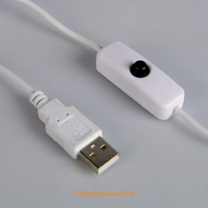 Лампа на прищепке «Свет» белый 13LED 1.5W провод USB 4×9×31.5 см RISALUX