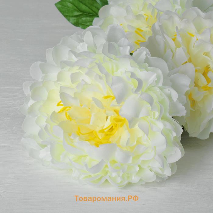 Цветы искусственные «Пион кустовой», 5 бутонов, 15×110 см, белые