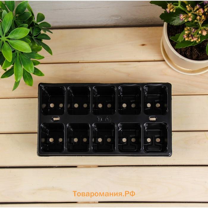 Кассета для рассады Greengo на 10 ячеек, по 100 мл, пластиковая, чёрная, 25×14×5 см