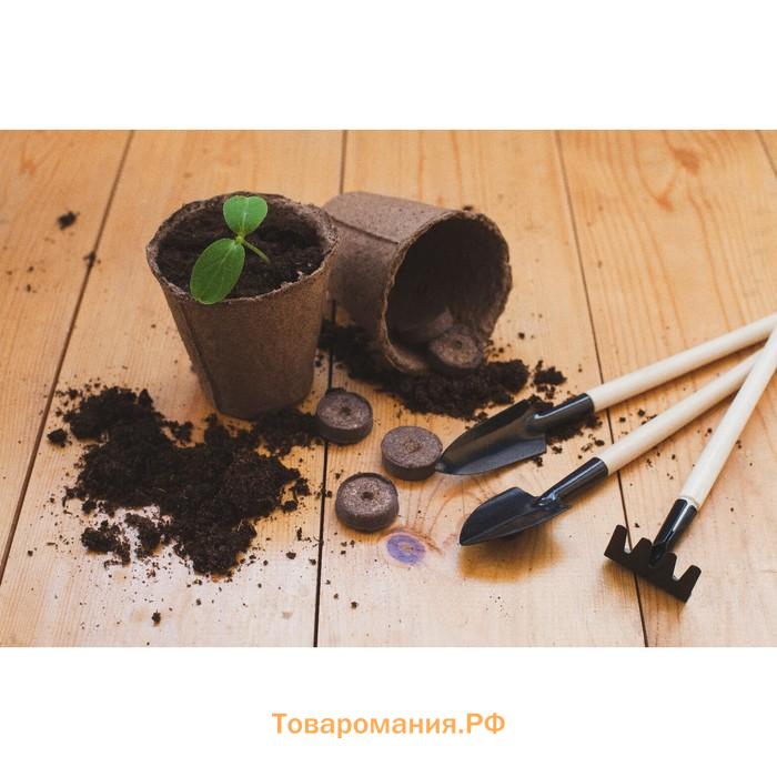 Таблетки торфяные, для рассады, d=2.7 см, с оболочкой, набор 12 шт.