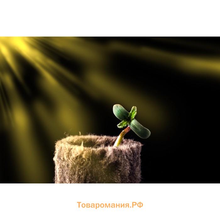 Пробка минераловатная, для рассады, d=22 мм, h=28 мм, «Эковер»