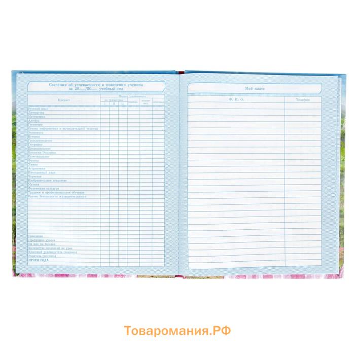 Дневник для 1-4 классов, "Принцесса", твердая обложка 7БЦ, глянцевая ламинация, 48 листов