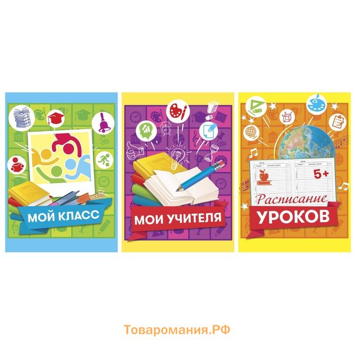 Папка школьная на кольцах «Портфолио ученика начальной школы», 10 листов-разделителей, 24,5 х 32 см.