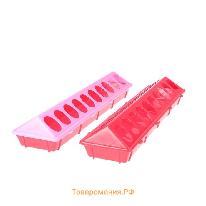 Кормушка - поилка для перепелов, 20 ячеек, лотковая, пластик, цвет МИКС