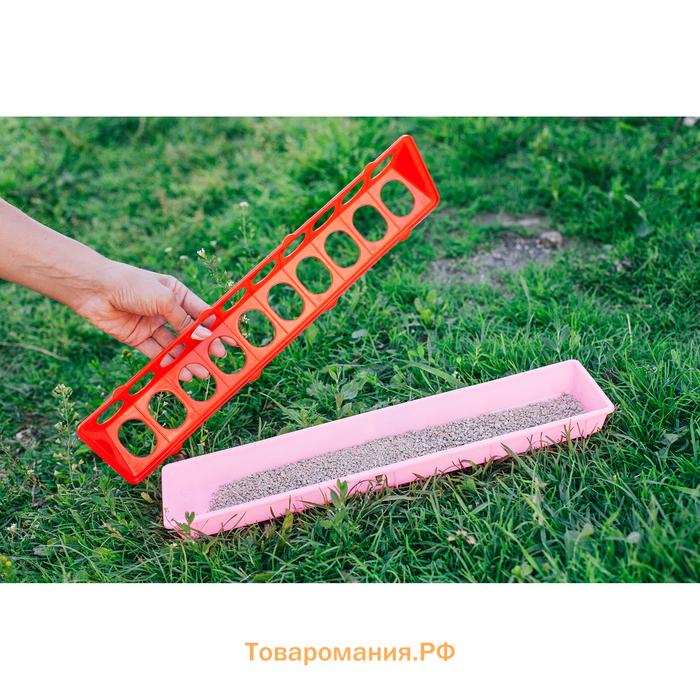 Кормушка - поилка для перепелов, 20 ячеек, лотковая, пластик, цвет МИКС