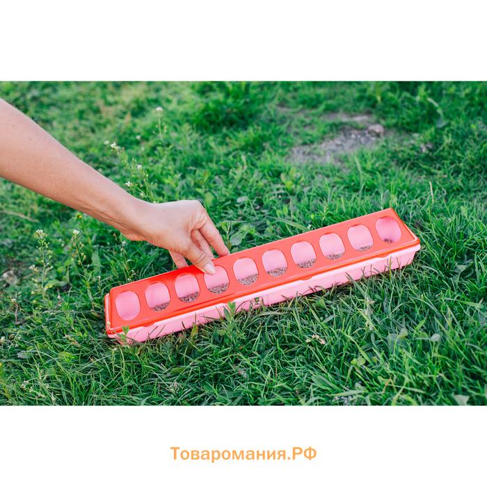 Кормушка - поилка для перепелов, 20 ячеек, лотковая, пластик, цвет МИКС