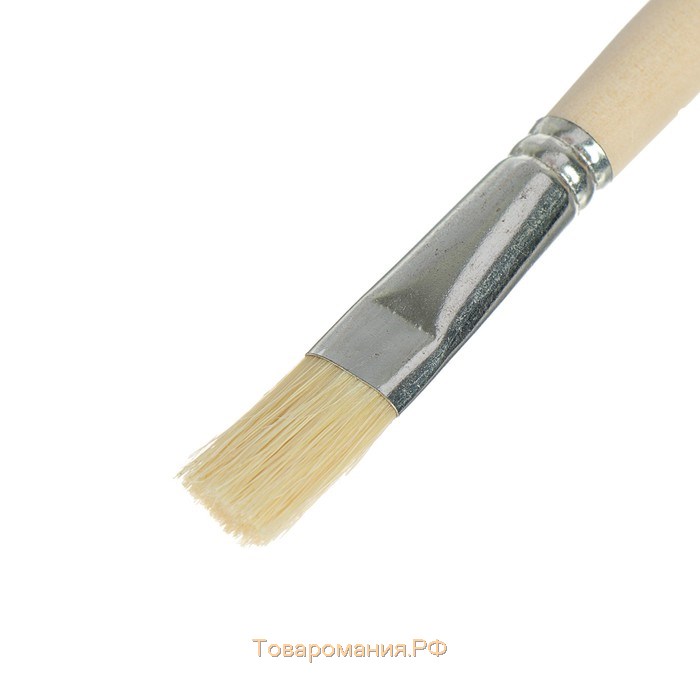 Кисть Щетина плоская №16 (ширина обоймы 16 мм; длина волоса 24 мм), деревянная ручка, Calligrata