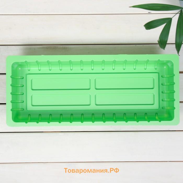 Мини-парник для рассады, 39×17.5×12 см, без вставок, тёмно-зелёный, пластик, Greengo
