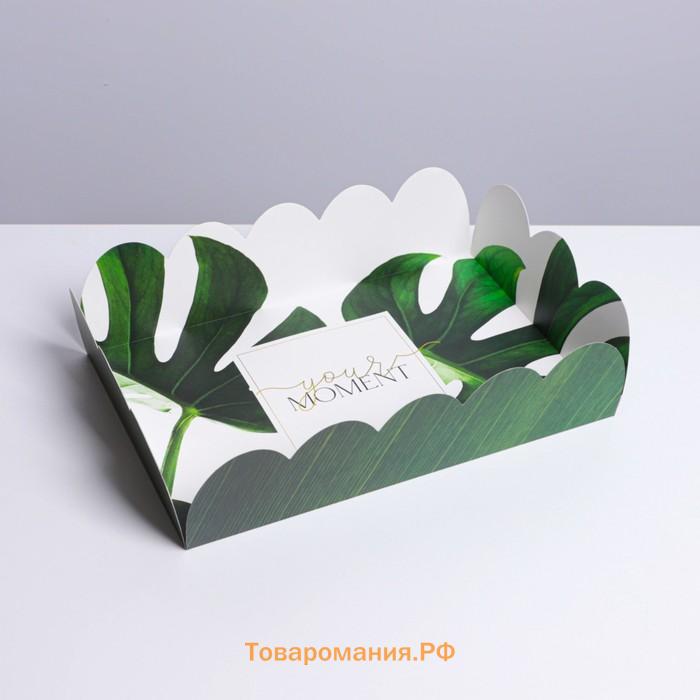 Коробка для печенья, кондитерская упаковка с пластиковой крышкой, «Эко», 20 х 30 х 8 см