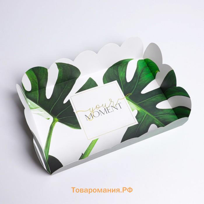 Коробка для печенья, кондитерская упаковка с пластиковой крышкой, «Эко», 20 х 30 х 8 см