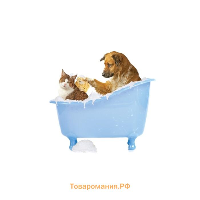 Органайзер в ванну на присосках «Кот и пес в ванной», для хранения игрушек и мелочей, размер 33х39 см
