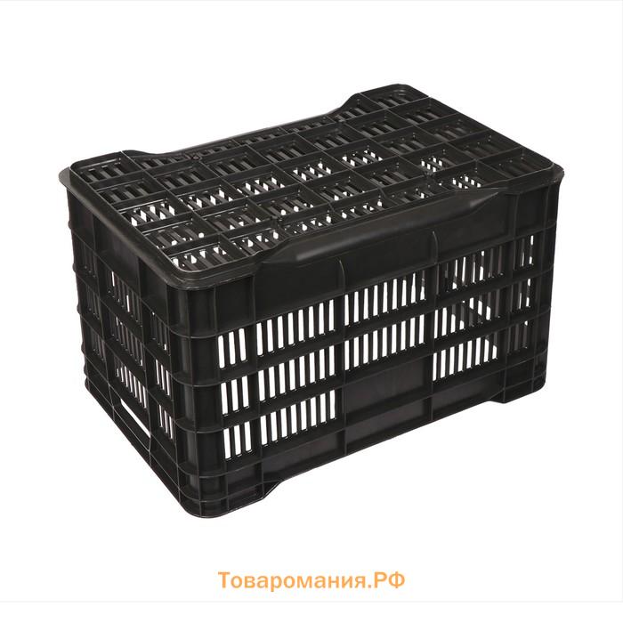 Ящик универсальный, пластиковый, 51×34×30 см, на 30 кг, чёрный