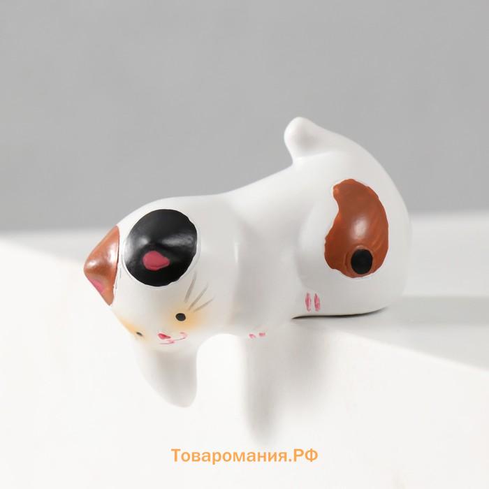 Фигурка полистоун «Любопытный котик», на полку, 6×3.8×5 см