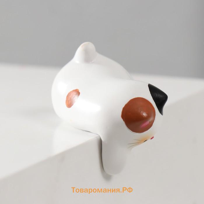 Фигурка полистоун «Любопытный котик», на полку, 6×3.8×5 см