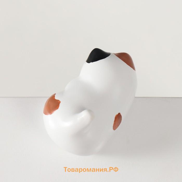 Фигурка полистоун «Любопытный котик», на полку, 6×3.8×5 см