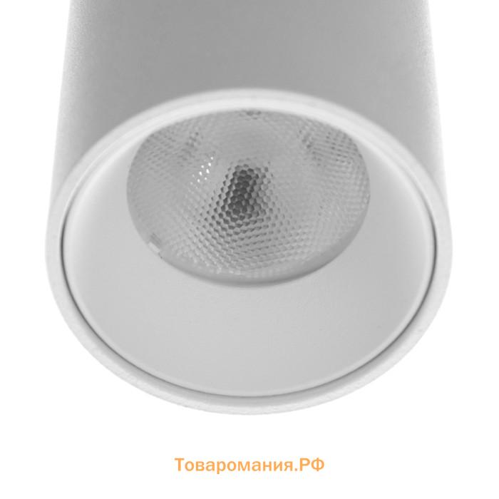 Светильник "Лукас Робо" LED 10Вт 46000К белый 6х6х18см