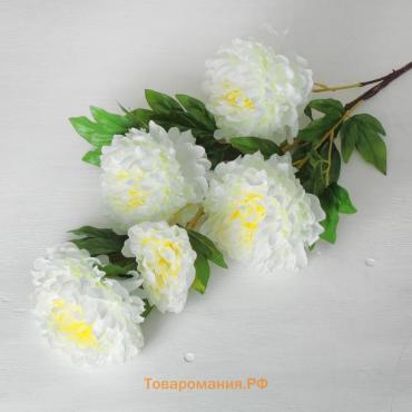 Цветы искусственные «Пион кустовой», 5 бутонов, 15×110 см, белые
