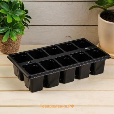 Кассета для рассады Greengo на 10 ячеек, по 100 мл, пластиковая, чёрная, 25×14×5 см