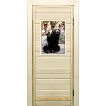 Дверь для бани со стеклом (40*60), "Медведь-3", 190×70см, коробка из осины