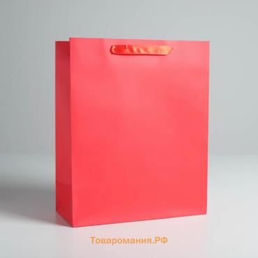 Пакет подарочный, упаковка, «Алый», M 25,5 х 30 х 9 см