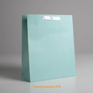 Пакет подарочный, упаковка, «Мятный», M 25,5 х 30 х 9 см