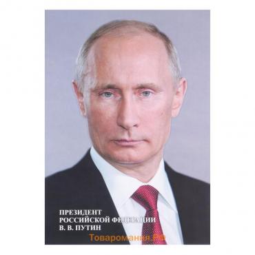 Плакат "Портрет Президента РФ" А4