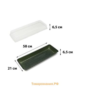 Мини-парник для рассады, 57×21×12 см, без вставок, тёмно-зелёный, пластик, Greengo